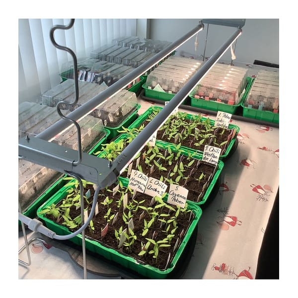 LEDlife Pro-Grow 2.0 växtset 2 × 60 cm, 20 W